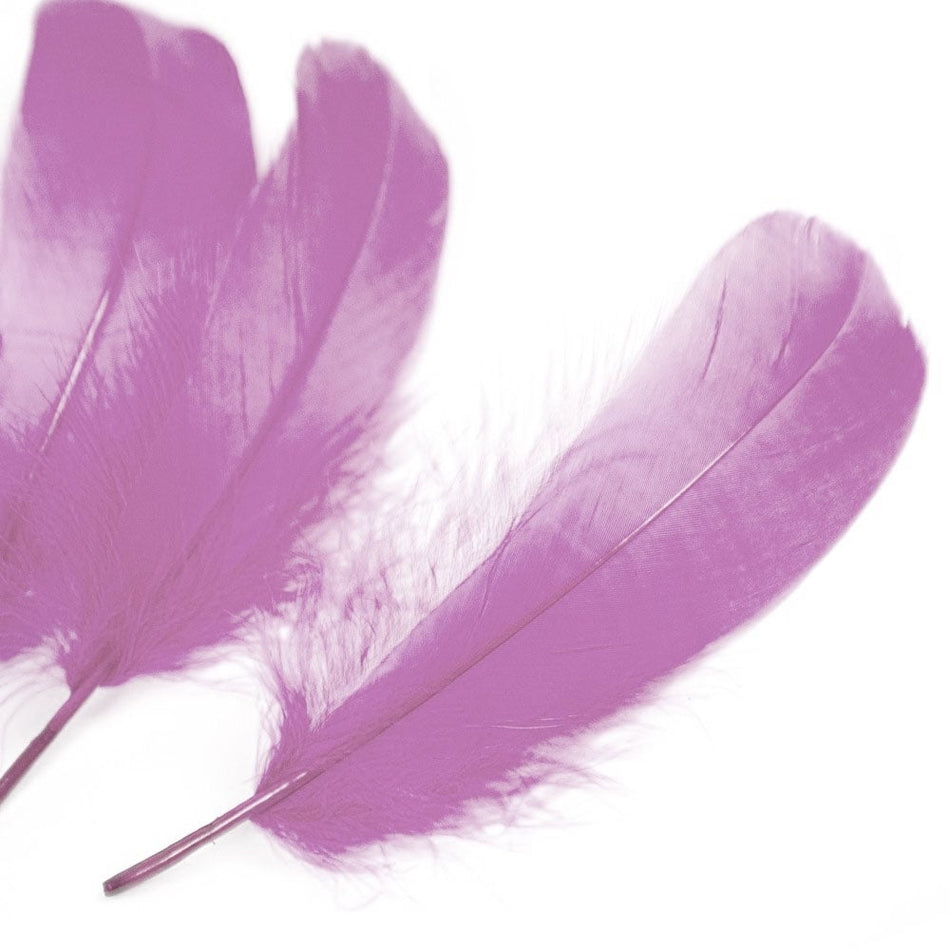 Goose Nagoire Feather (24 Pack)