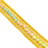 Sequins & Seed Beading Lurex Trim
