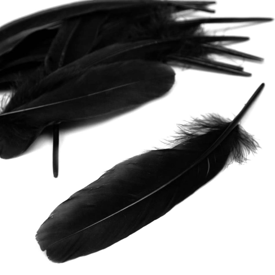 Goose Feather - Large Pointed (12 Pack)