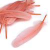 Goose Feather - Large Pointed (12 Pack)