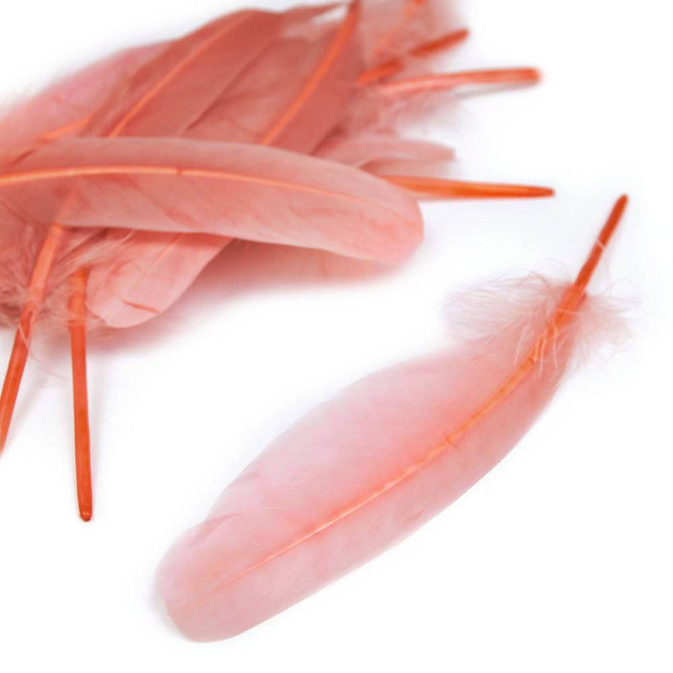 Goose Feather - Large Pointed (12 Pack)