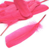 Goose Feather - Large Pointed (12 Pack)