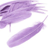Goose Feather - Large Pointed (12 Pack)
