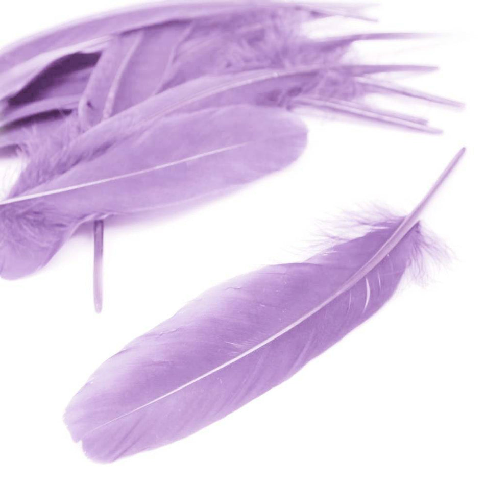 Goose Feather - Large Pointed (12 Pack)
