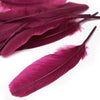 Goose Feather - Large Pointed (12 Pack)