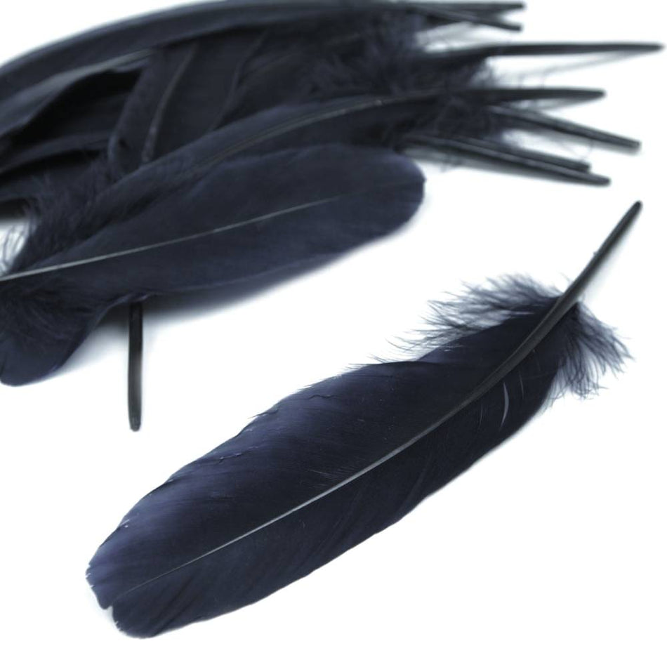 Goose Feather - Large Pointed (12 Pack)