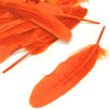 Goose Feather - Large Pointed (12 Pack)