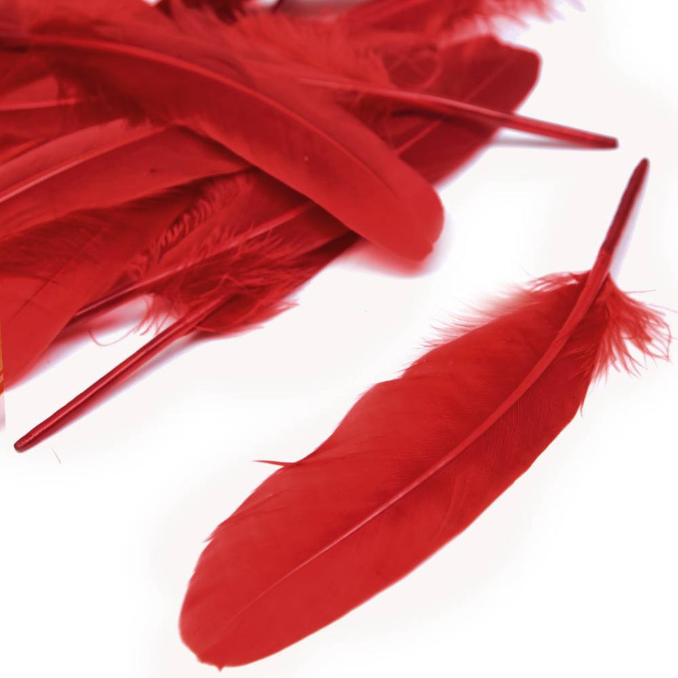 Goose Feather - Large Pointed (12 Pack)