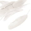 Goose Feather - Large Pointed (12 Pack)
