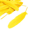 Goose Feather - Large Pointed (12 Pack)