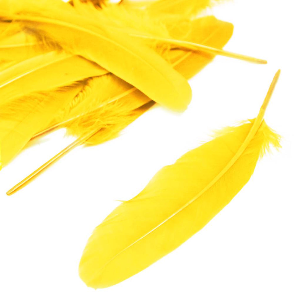 Goose Feather - Large Pointed (12 Pack)