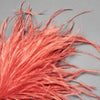 Ostrich Feather Bunch - 15-20cm