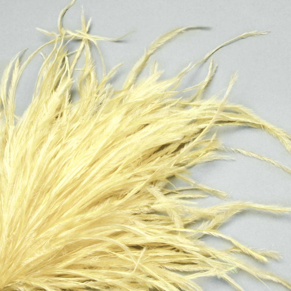 Ostrich Feather Bunch - 15-20cm