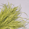 Ostrich Feather Bunch - 15-20cm