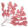 Feather Wire Mount - Stripped Goose Leaf Spray