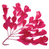 Feather Wire Mount - Stripped Goose Leaf Spray