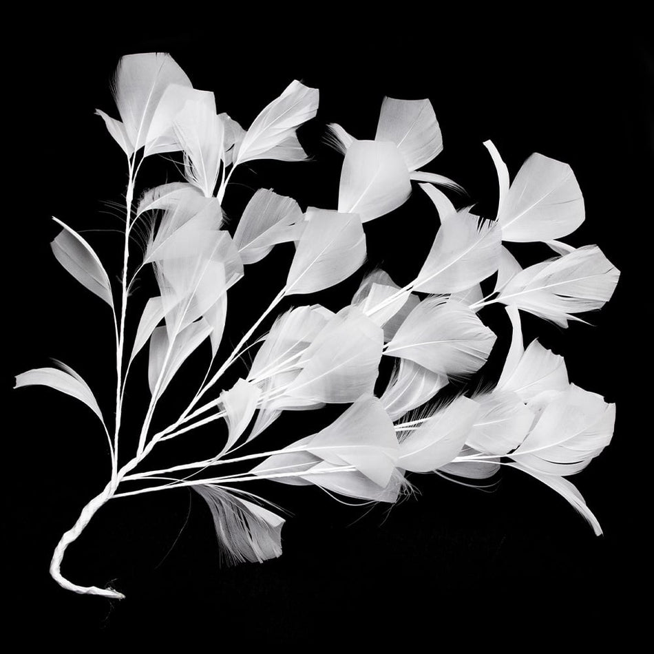 Feather Wire Mount - Stripped Goose Leaf Spray