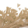 Feather Wire Mount - Fireworks Spray