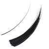 Ostrich Feather Quill Spine