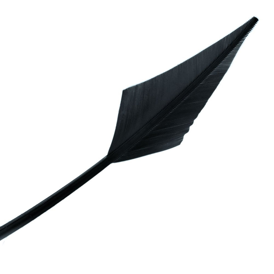 Turkey Feather Arrowhead