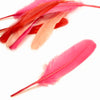 Goose Feather - Large Pointed (12 Pack)
