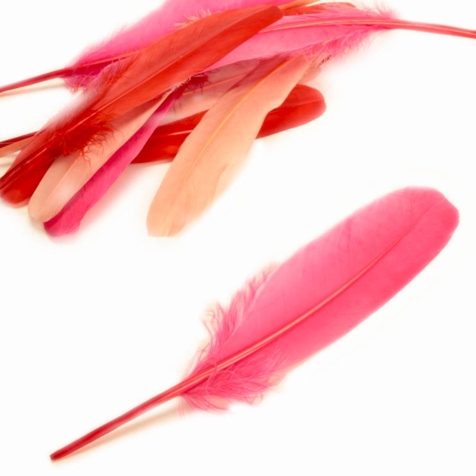 Goose Feather - Large Pointed (12 Pack)