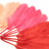Goose Feather - Large Pointed (12 Pack)