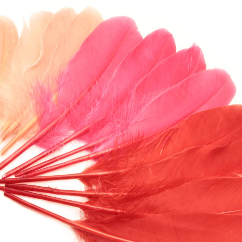 Goose Feather - Large Pointed (12 Pack)