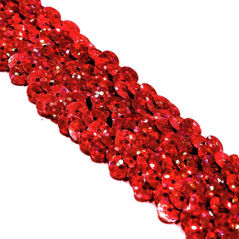 3-Row Stretch Sequin Trim