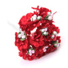 Forget-Me-Not Flower Bunch