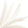 Peacock Feather Sword (3 Pack)