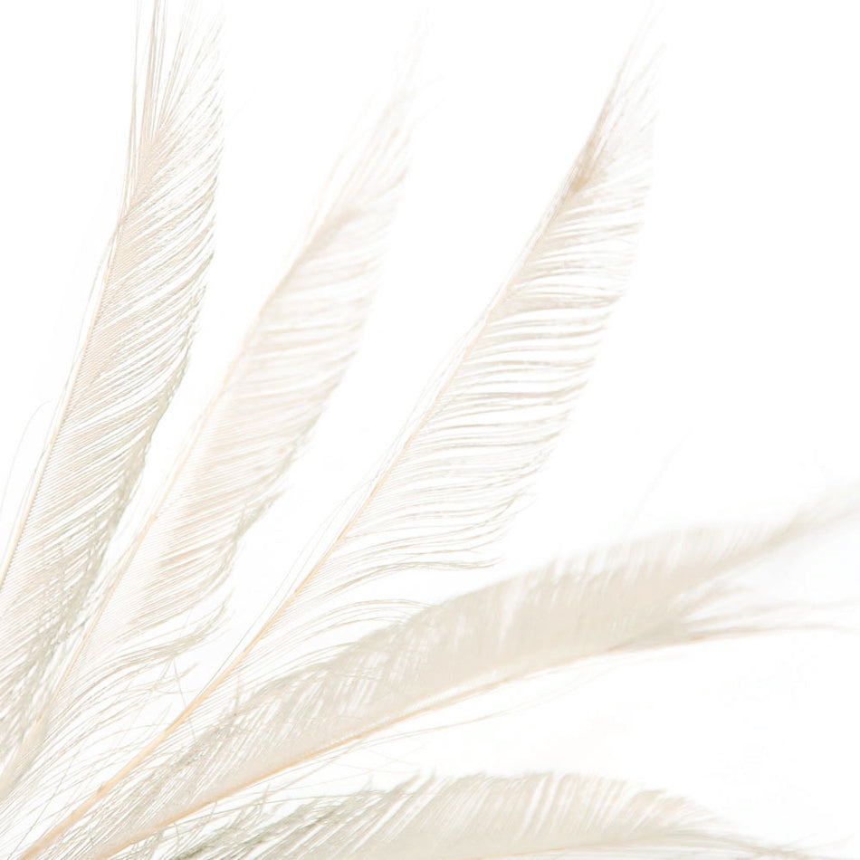 Peacock Feather Sword (3 Pack)
