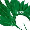 Feather Wire Mount - Coque Feather Spray - Diamond Tail