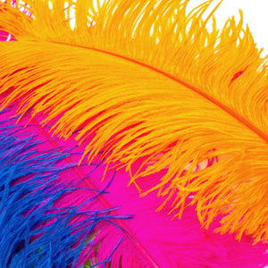 Ostrich Feather Plume 60-70cm