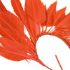 Feather Wire Mount - Coque Feather Spray - Diamond Tail