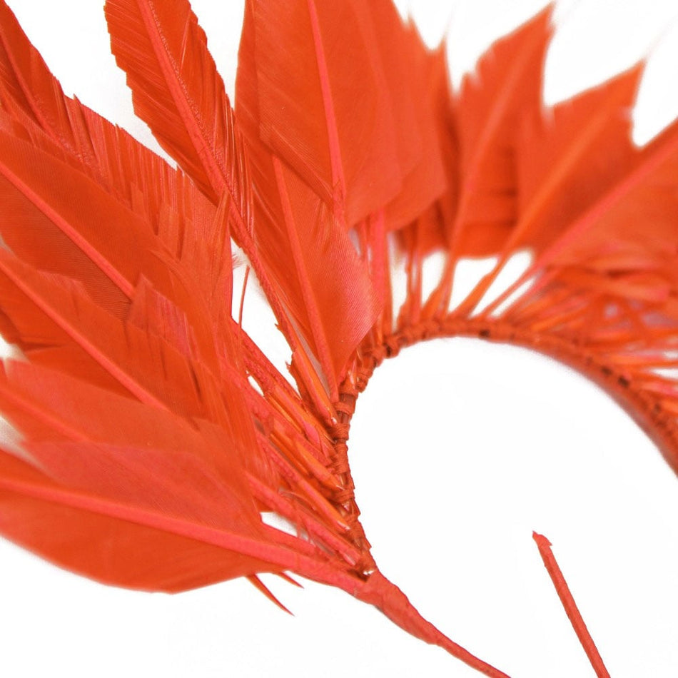 Feather Wire Mount - Coque Feather Spray - Diamond Tail