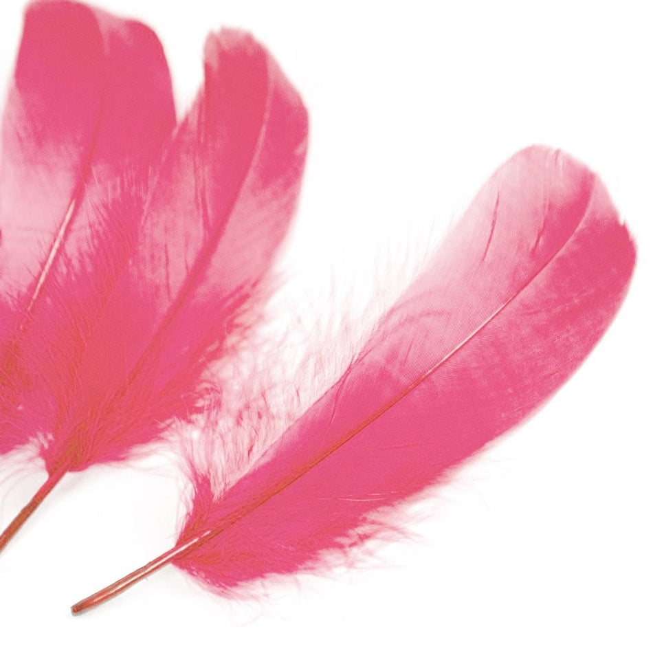 Goose Nagoire Feather (24 Pack)