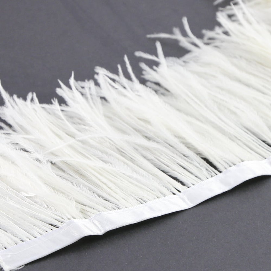 Ostrich Feather Fringe