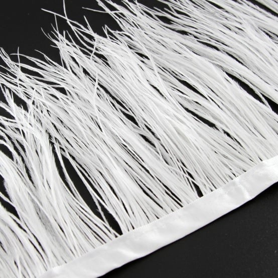 Ostrich Feather Fringe
