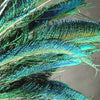 Peacock Feather Sword - Natural (5 Pack)