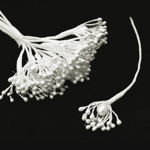 Flower Stamen - Pearl Cluster