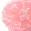 Flower Feather XLarge Peony