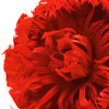 Flower Feather XLarge Peony