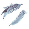 Coque Feather Bunch - Natural Markings