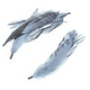 Coque Feather Bunch - Natural Markings