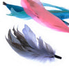 Coque Feather Bunch - Natural Markings
