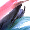 Coque Feather Bunch - Natural Markings