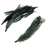 Coque Feather Bunch - Natural Markings
