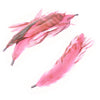 Coque Feather Bunch - Natural Markings