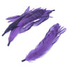 Coque Feather Bunch - Natural Markings